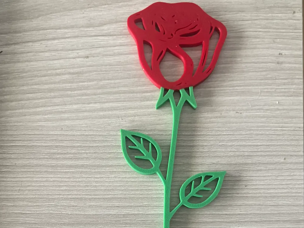 Rosa de San Jordi